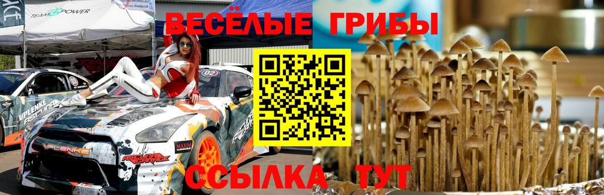 Псилоцибиновые грибы MAGIC MUSHROOMS Донецк