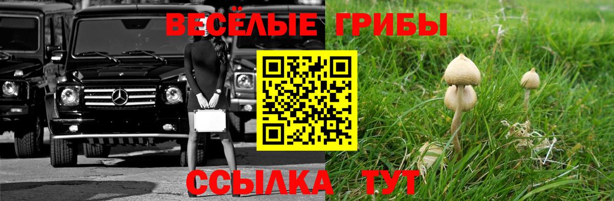 Галлюциногенные грибы Psilocybe  Вход с VPN  Донецк 